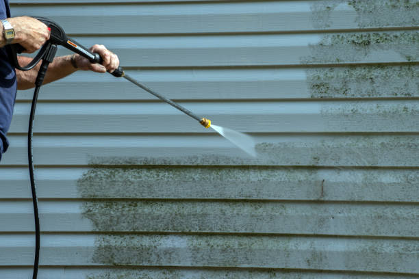 Best House Pressure Washing  in Wallington, NJ