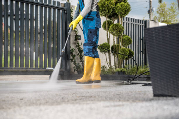 Local Pressure Washing Services in Wallington, NJ