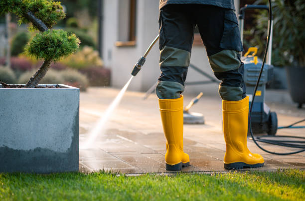 Best Best Pressure Washing Companies  in Wallington, NJ